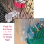 ฝาขวดให้น้ำไก่-นกอัตโนมัติ/Chicken Pigeon Bird Cage Double Automatic Drinking Cup Feeder Water Cup (Without Bottle)