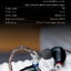 FiiO LC-RC 2024 รุ่นใหม่ปี 2024 สายอัพเกรดหูฟังทองแดงผลึกเดี่ยว Furukawa ถอดเปลี่ยนปลั๊กได้ ประกันศูนย์ไทย